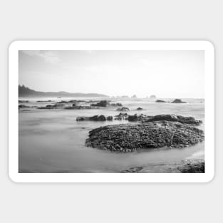 Shi Shi Wilderness Beach, WA in B&W Sticker